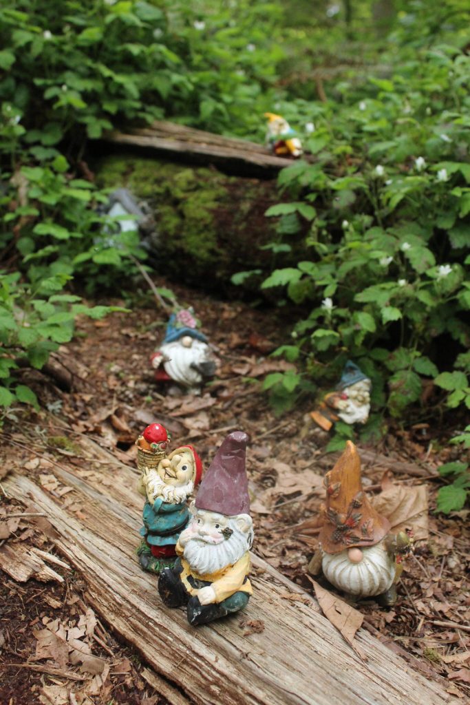 The Gnome Trail is located across from Rock Creek Elementary School, 25700 Maple Valley Black Diamond Rd SE, Maple Valley. Photos by Bailey Jo Josie/Sound Publishing