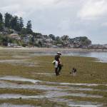 At Dash Point on June 16, 2022. Henry Stewart-Wood/Sound Publishing