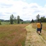 Residents walk the grounds of the future East Hill North Community Park. Photo by Bailey Jo Josie/Sound Publishing.