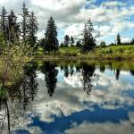 The city of Kents Clark Lake Park near SE 240th Street and 127th Avenue SE. COURTESY PHOTO, City of Kent