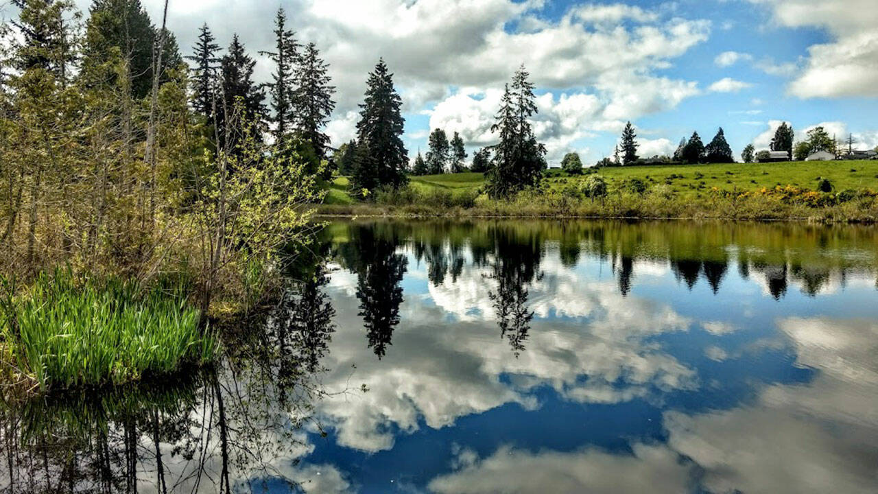 The city of Kents Clark Lake Park near SE 240th Street and 127th Avenue SE. COURTESY PHOTO, City of Kent