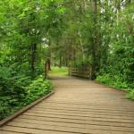 A trail through Clark Lake Park on the East Hill in Kent. COURTESY PHOTO, City of Kent