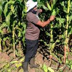 Kent nonprofit organization Wakulima USA works with Swahili-speaking immigrants from East Africa as they settle into their new environment in the U.S. COURTESY PHOTO, Wakulima USA