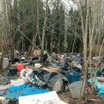 A homeless camp in Kent along the Green River. FILE PHOTO, City of Kent
