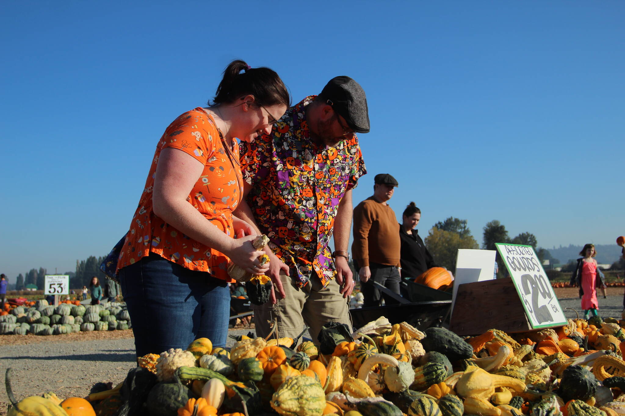 Cassandra and Scott Atkinson of Kent survey gourds on Oct. 16. They visit the Carpinitos pumpkin patch every year. 
Olivia Sullivan
Sound Publishing