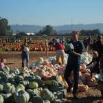 Olivia Sullivan/Sound Publishing