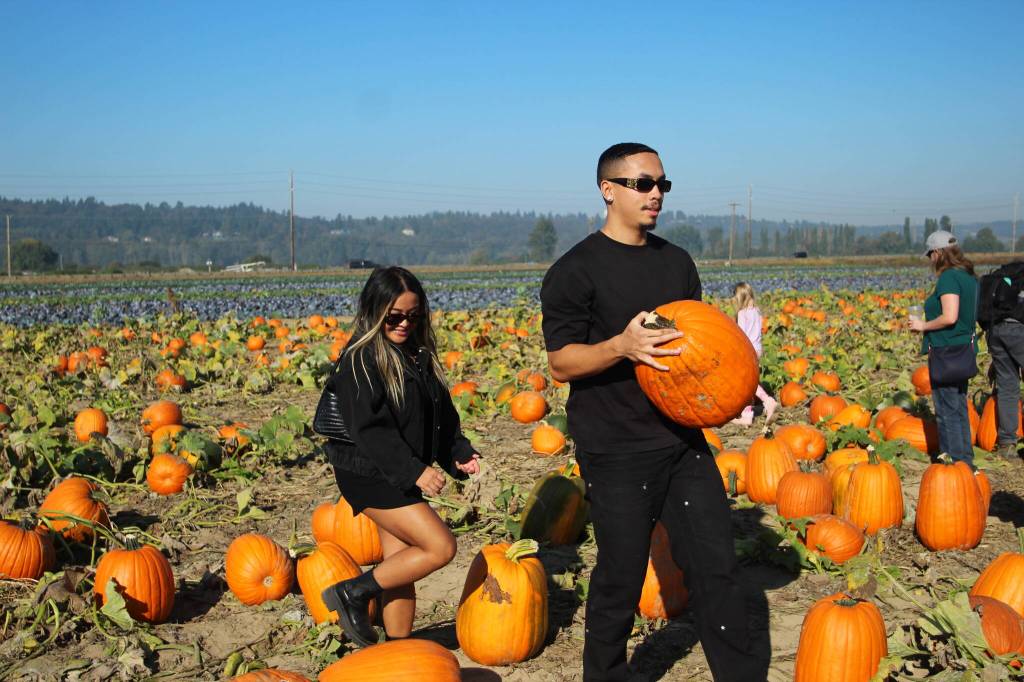 Jasmin Ordonio of Arlington and Ryan Johnson of Seattle visit the pumpkin patch on Oct. 16. Olivia Sullivan/Sound Publishing