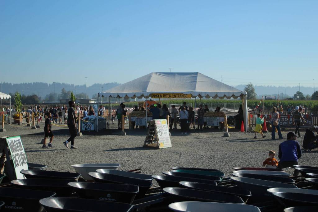 Olivia Sullivan/Sound Publishing