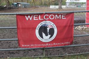 Photo by Bailey Jo Josie/Sound Publishing.
The Hitching Rails equine therapy is free for those who have or are currently serving in the military, first responders and their families. The ranch also offers paid riding lessons for all levels of horsemanship.