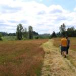 Residents walk the grounds in July 2022 of the future East Hill North Community Park in the Panther Lake area of Kent. The City Council will ask the state Legislature during the 2023 session for $2 million to help build the park. BAILEY JO JOSIE, Sound Publishing