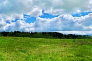 The future site of a 33-acre park in Kent near 132nd Avenue SE and SE 216th Street. COURTESY PHOTO, City of Kent