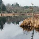 A serene Clark Lake on the East Hill of Kent. STEVE HUNTER, Kent Reporter