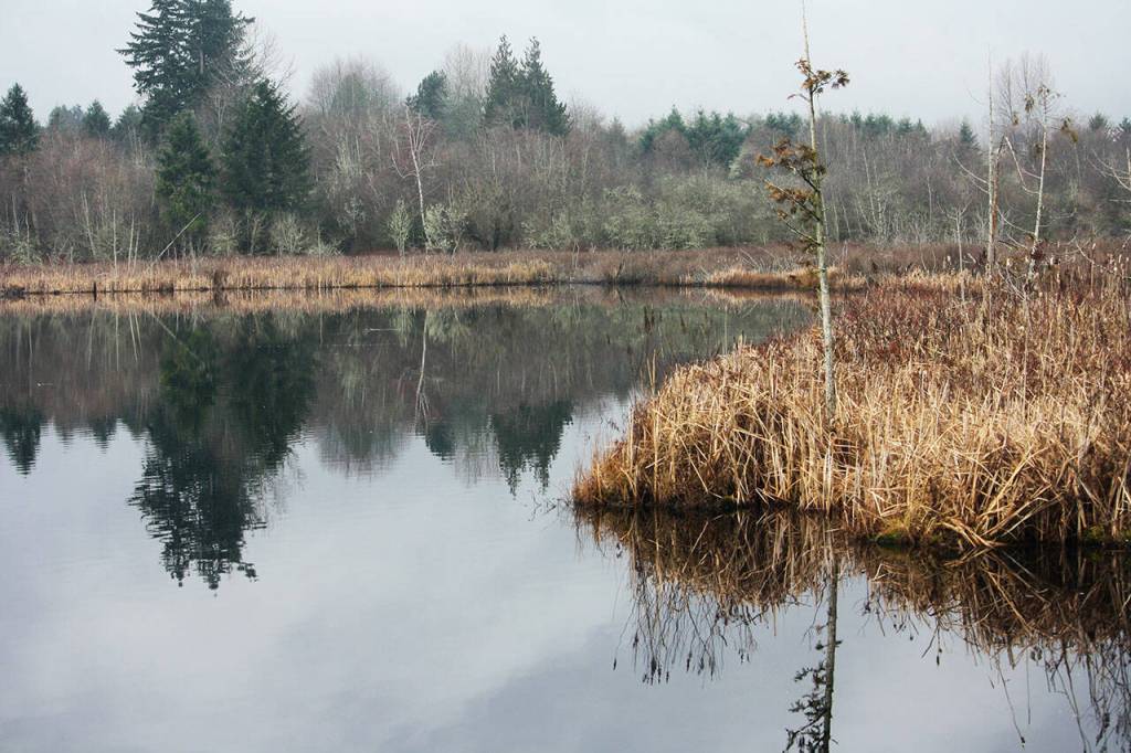 A serene Clark Lake on the East Hill of Kent. STEVE HUNTER, Kent Reporter
