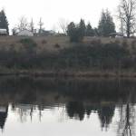 The city of Kent bought 17 acres south of Clark Lake to give it ownership of all the land surrounding the lake. STEVE HUNTER, Kent Reporter