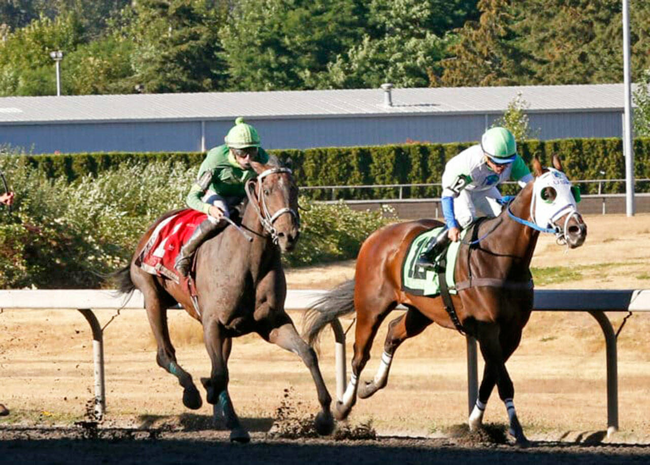 Slews Tiz Whiz (left) collars Papas Golden Boy in the 2022 Longacres Mile. COURTESY PHOTO, Emerald Downs