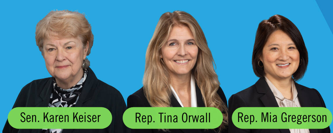 Residents can attend a 33rd Legislative District town hall meeting from 1:30 to 3 p.m. Saturday, March 18 in Des Moines. COURTESY PHOTO, Senate/House Democrats