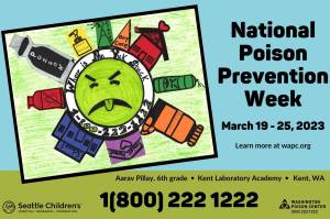Aarav Pillay, a sixth-grader at Kent Laboratory Academy, drew this winner poster for the Washington Poison Center. Courtesy image
