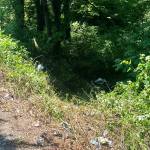 A car sits at the bottom of a 75-foot embankment Friday, May 19 in the 9500 block of South 212th Street in Kent. COURTESY PHOTO, Puget Sound Fire