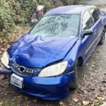 Kent Police are asking for the publics help to identify the driver of this car, reportedly involved in a fatal hit-and-run on Dec. 27, 2022 on West James Street in Kent. COURTESY PHOTO, Kent Police