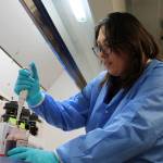 Photo by Alex Bruell / The Mirror
Forensic scientist Darlene Valencia tests a blood sample for tetrahydrocannabinol (THC), the main psychoactive ingredient in cannabis, at the new Washington State Patrol toxicology lab in Federal Way. While scientists like Valencia are not yet working on real evidence at the Federal Way lab, they are testing their equipment to ensure its accuracy.