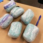 Seattle Police and other law enforcement agencies seized an estimated 30,000 fentanyl pills from a suspected dealer in Tukwila. COURTESY PHOTO, Seattle Police