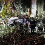 A car occupied by three juveniles crashed into a tree Aug. 29 in Black Diamond. The driver died from injuries in the crash. COURTESY PHOTO, Puget Sound Fire