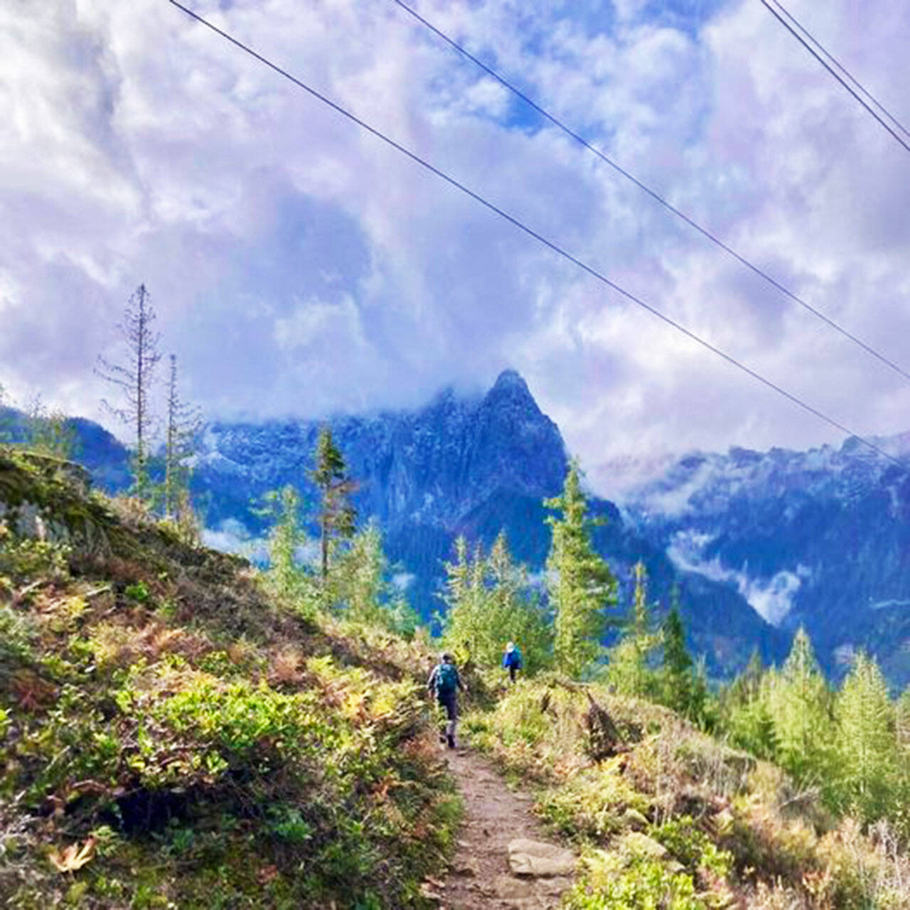 COURTESY PHOTO, City of Kent
A hike along Heybrook Ridge in Snohomish County is one example of the numerous outings the Kent Senior Center organizes for people ages 50 and older.