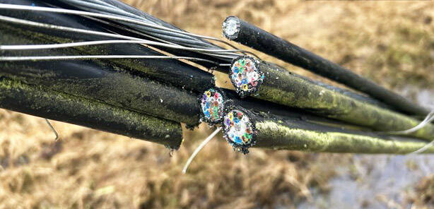 Vandals damaged Comcast cable lines Nov. 30 in Kent. COURTESY PHOTO, Comcast