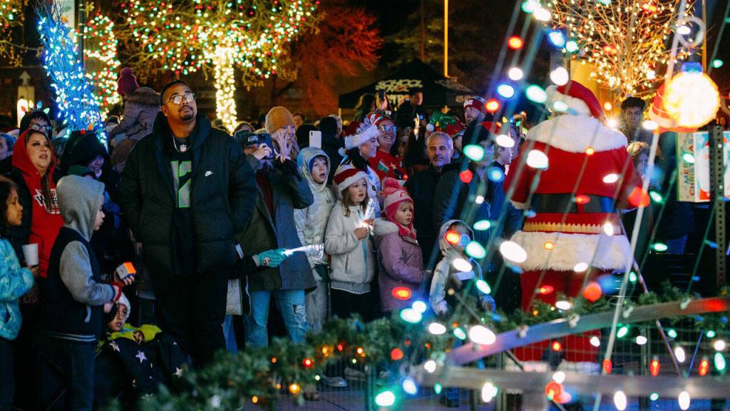 Observers at the tree lighting during Kent Winterfest at Town Square Plaza. COURTESY PHOTO, City of Kent