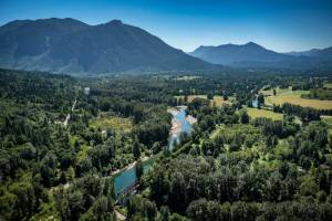 Courtesy of King County