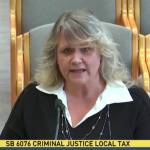 Kent Mayor Dana Ralph testifies Feb. 1 in Olympia in front of the Senate Ways & Means Committee in an effort to get more money for public safety. Screenshot via TVW