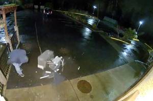 Surveillance footage from April 2023 shows burglars using a truck to yank an ATM through the doors of the Puerto Vallarta restaurant in Twin Lakes in Federal Way. At the time of this incident, the restaurant had seen five break-ins in two months. (File photo)