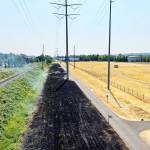 A brush fire damaged grass in Kent Aug. 8 along the Interurban Trail near South 196th Street. COURTESY PHOTO, Puget Sound Fire
