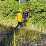 A firefighter puts out a hot spot of a brush fire Aug. 8 along the Interurban Trail in Kent. COURTESY PHOTO, Puget Sound Fire