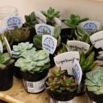 Bezos students get to learn how to take care of plants as part of their curriculum. Photo by Bailey Jo Josie/Sound Publishing.