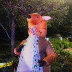 Photo by Bailey Jo Josie/Sound Publishing.