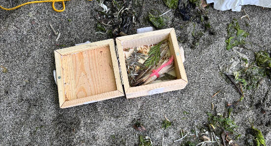 The box were the toe was found. From WSP records request.