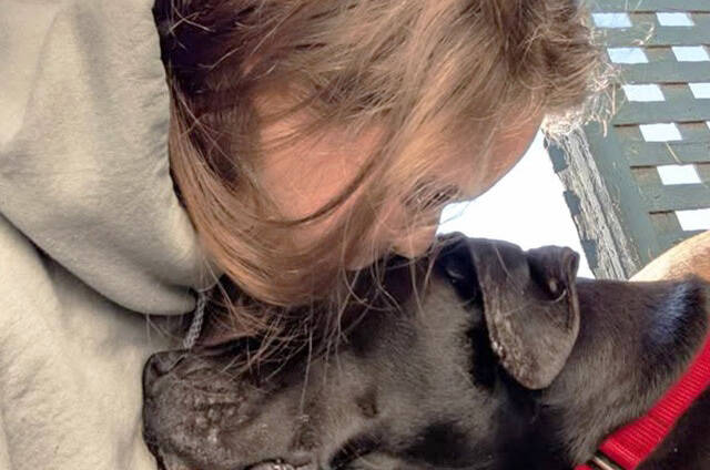 Pets are available for adoption at the King County Regional Animal Services shelter in Kent. COURTESY PHOTO, King County