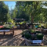 One of the amenities at the Soos Creek Botanical Gardens. Courtesy photos/City of Auburn