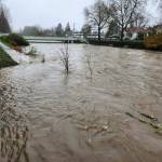 The Cedar River near Wells Avenue in Renton, as seen Wednesday, Dec. 10. Photo courtesy of Patrick Stevens.