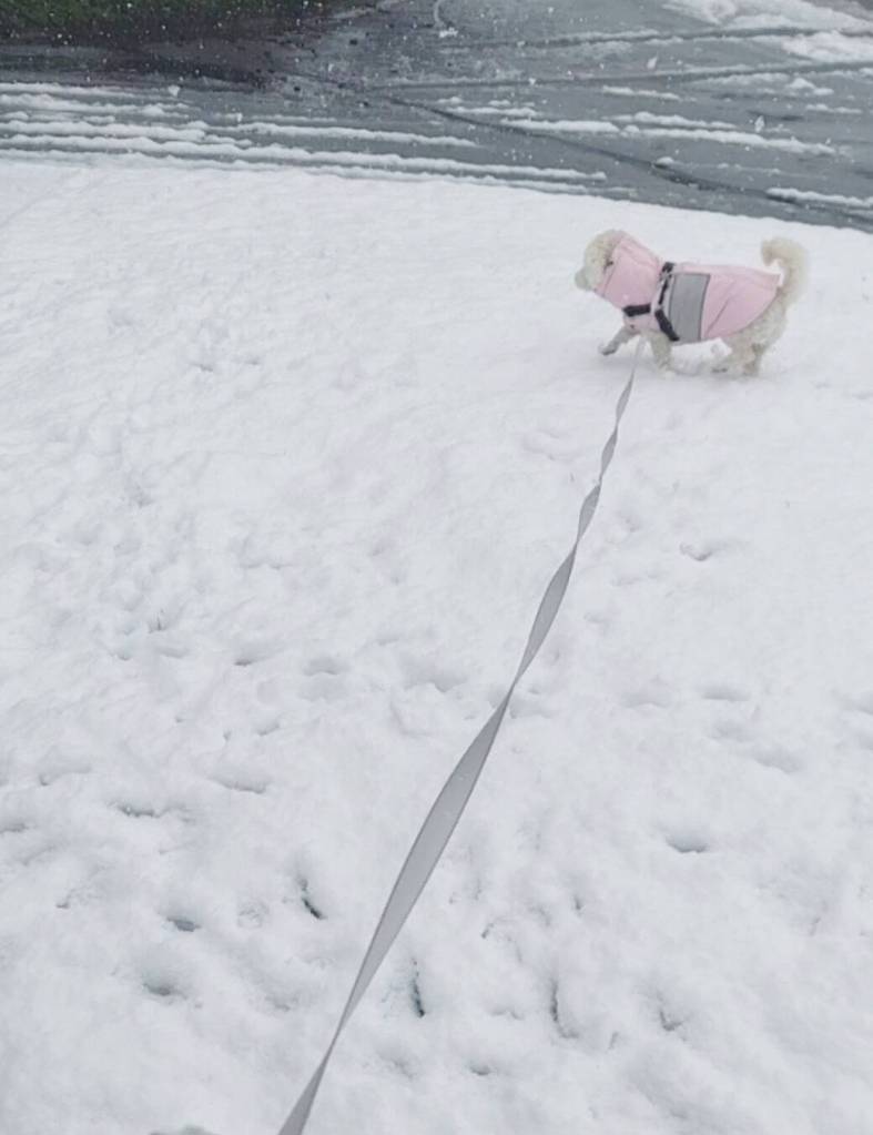 COURTESY PHOTO, Melissa Pallanes