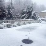 COURTESY PHOTO, Sherry Lehra