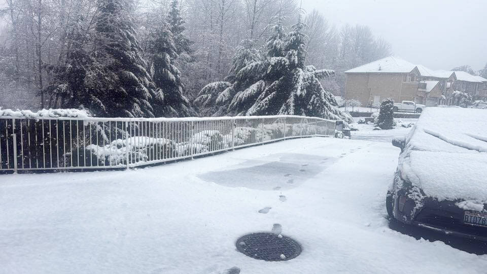 COURTESY PHOTO, Sherry Lehra