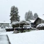 COURTESY PHOTO, Tiffany Chen Faris