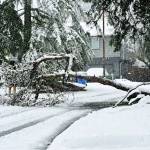 COURTESY PHOTO, Deb Steele