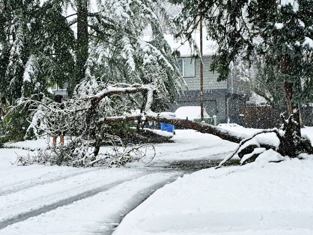 COURTESY PHOTO, Deb Steele