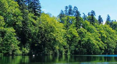 Lake Fenwick. COURTESY FILE PHOTO, City of Kent