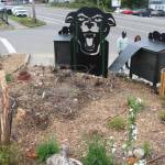 Plants and trees will be in full bloom soon following the official opening of the new Black Panther Park. Photo by Bailey Jo Josie/Sound Publishing