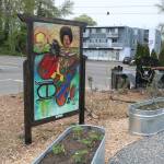 Tomas Afeworkis mural stands near raised garden beds. Photo by Bailey Jo Josie/Sound Publishing