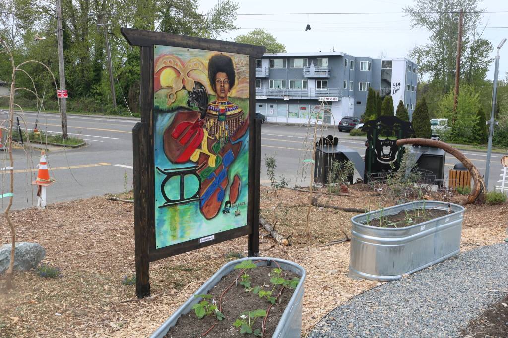 Tomas Afeworkis mural stands near raised garden beds. Photo by Bailey Jo Josie/Sound Publishing